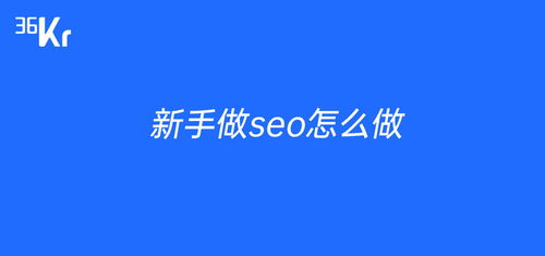 新手做seo怎么做