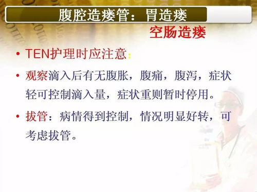 百度蜘蛛池引流:揭秘蜘蛛池收入，揭秘网络营销的隐形金库