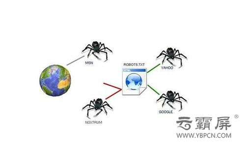 百度蜘蛛池价格:揭秘蜘蛛池，网络营销的秘密武器