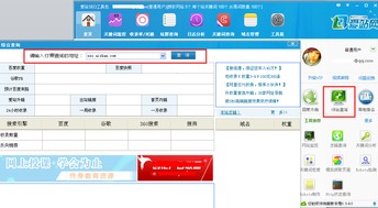 seo综合查询工具