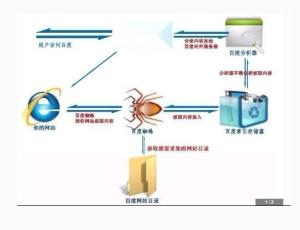 百度蜘蛛池租用:蜘蛛池头发吗？揭秘蜘蛛池与头发的关系及应对策略