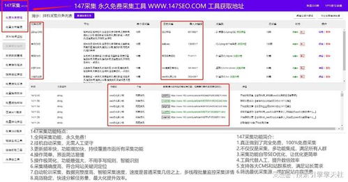 免费的seo网站