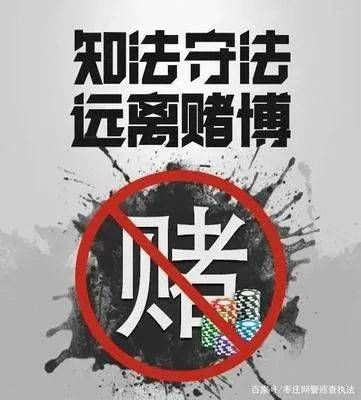 百度蜘蛛池出租:揭秘网络黑幕，蜘蛛池推广赌博，法律与道德的双重拷问