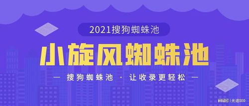 百度蜘蛛池效果:深度解析搜狗蜘蛛池搭建与推广排名策略，助你网站流量翻倍！