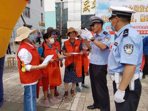 百度蜘蛛池价格:蜘蛛池法律风险与防范，网络时代的法治挑战