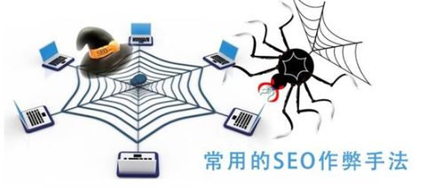 百度蜘蛛池出租:SEO蜘蛛池，揭秘网络爬虫的秘密武器