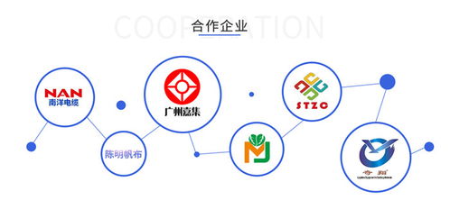 百度蜘蛛池出租:有效蜘蛛池，助力SEO优化，提升网站排名的关键