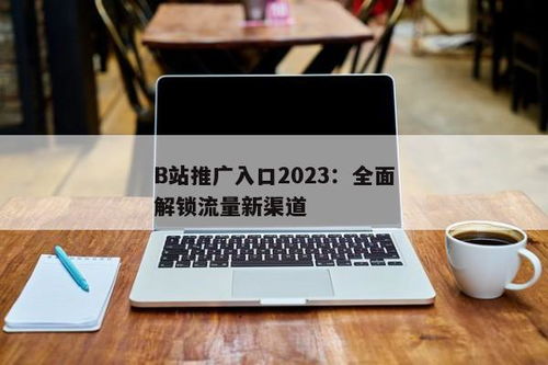 2023网站推广入口