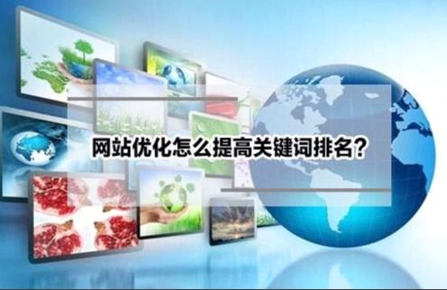 百度蜘蛛池优化:蜘蛛池租用与蛛池出租，助力企业高效SEO优化