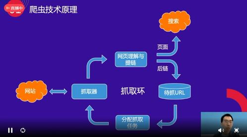 百度蜘蛛池价格:PHP构建高效蜘蛛池，技术解析与实战指南