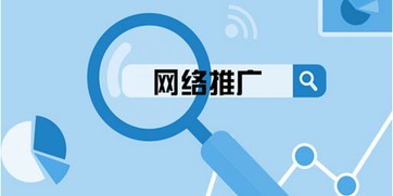 百度蜘蛛池价格:蜘蛛池程序出租，助力网络营销，提升企业竞争力