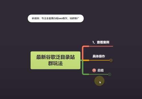 百度蜘蛛池优化:揭秘谷歌蜘蛛池搭建，高效内容抓取的秘密武器